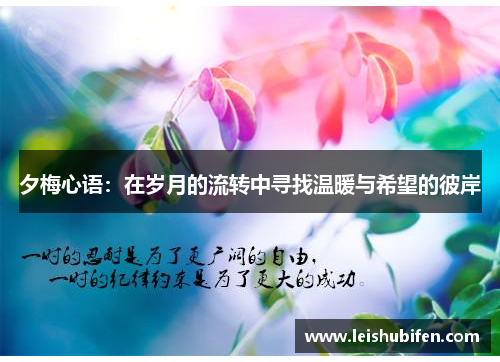 夕梅心语：在岁月的流转中寻找温暖与希望的彼岸